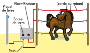 Comment installer une clôture électrique choisir-clôture-electrique.fr